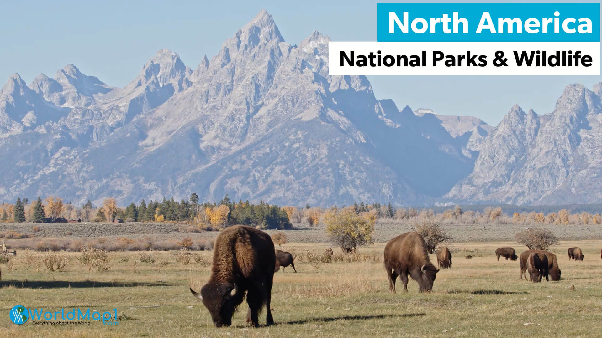North America National Parks and Wildlife